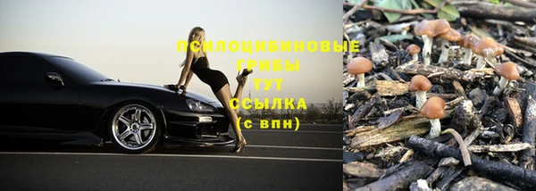 марки nbome Зеленокумск