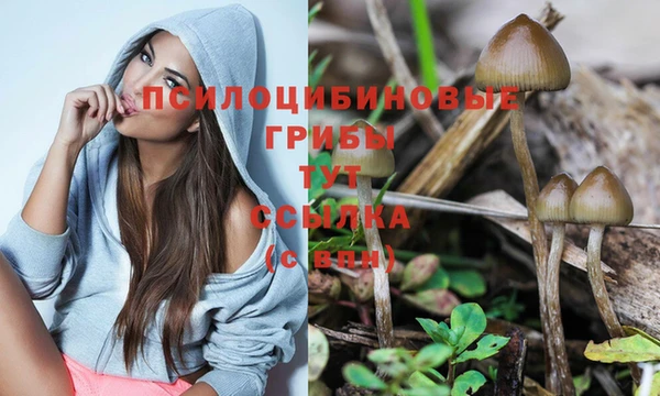 марки nbome Зеленокумск