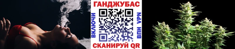Купить где  Кандалакша  Бошки Шишки план 